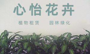 成都心怡花卉租賃有限公司 成都心怡花卉租賃有限公司